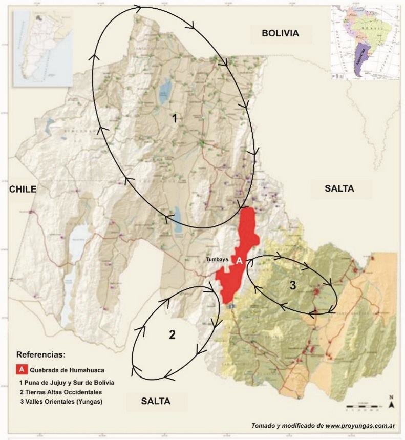 Fig. 1. Ubicación de la Quebrada de Humahuaca (A) en la Provincia de Jujuy y de los circuitos de interacción con otras ecorregiones.