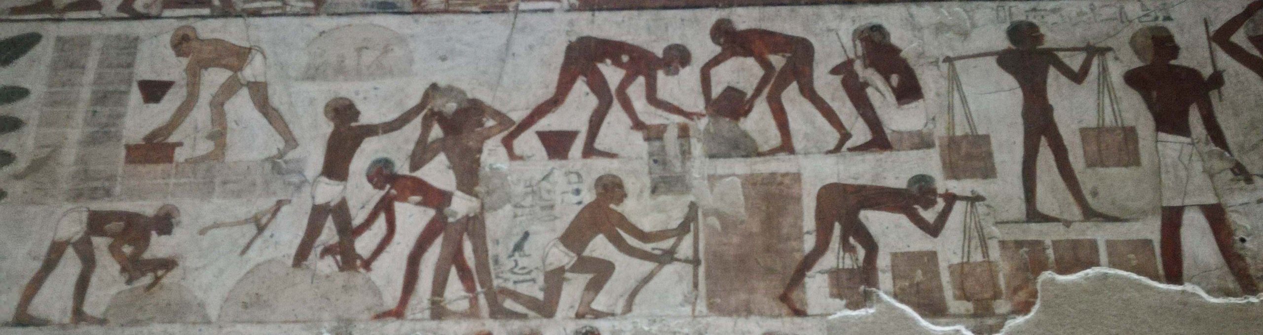 Figura 10. Prisioneros realizando diferentes tareas en los relieves de la tumba del visir Rejmira en Sheik Abd el-Gurna (foto la autora).